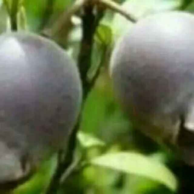 冬季的雨