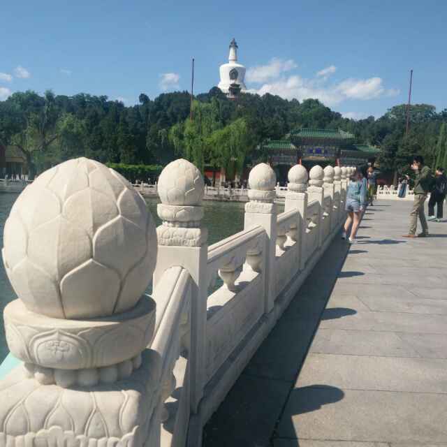 心想事成544