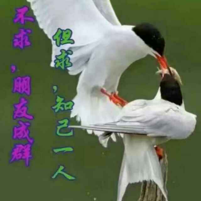 抱嫦娥烤玉兔