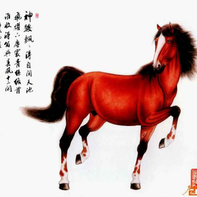 红马1978