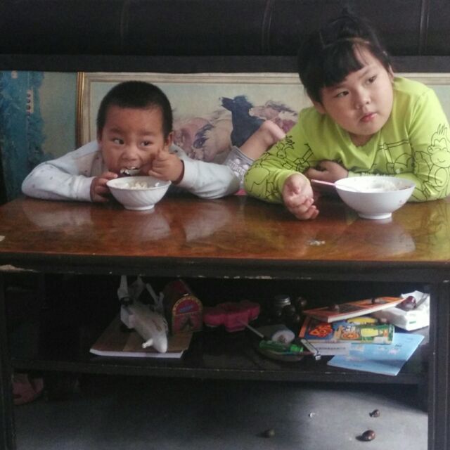 森鑫园林