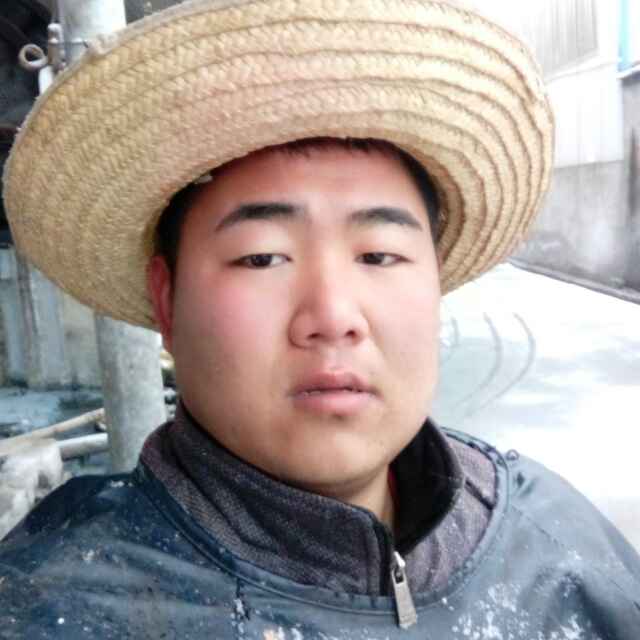 晚冬