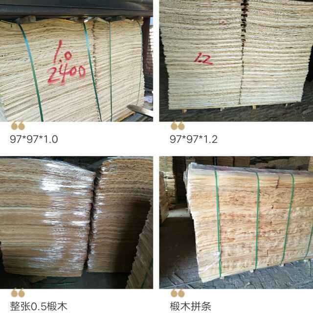 杨木（椴木）单板厂