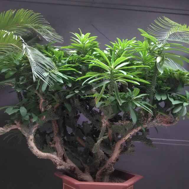 今生【缘已定】