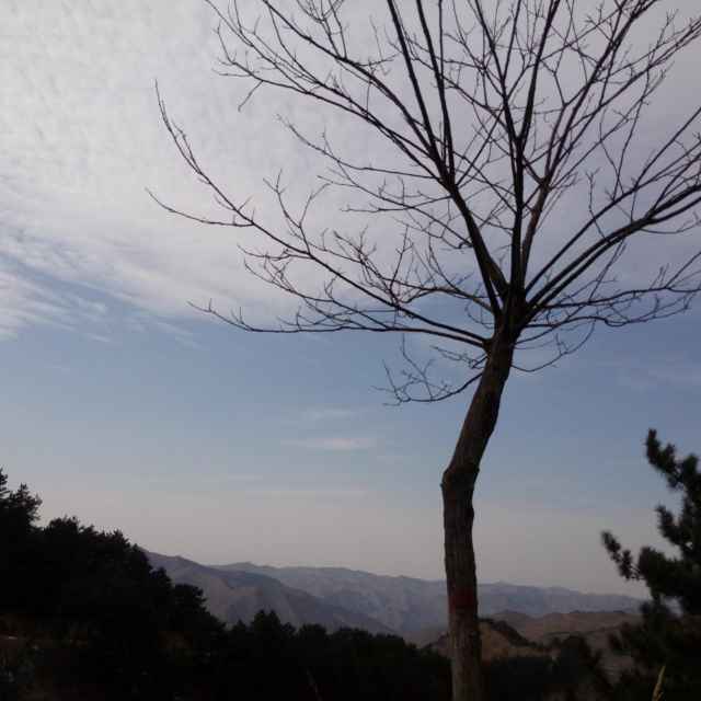 杨浩721