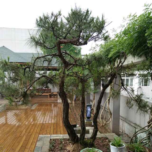 黄浩
