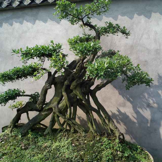 今天不想昨天只看明天