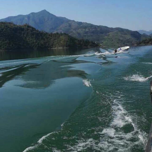 雅诺
