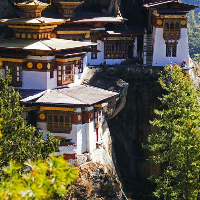 谭亚辉