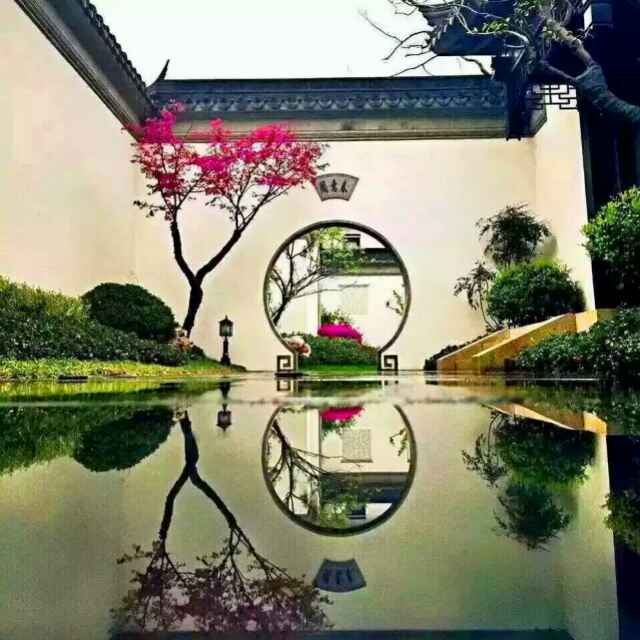 雨林居