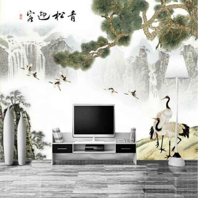 杨宽