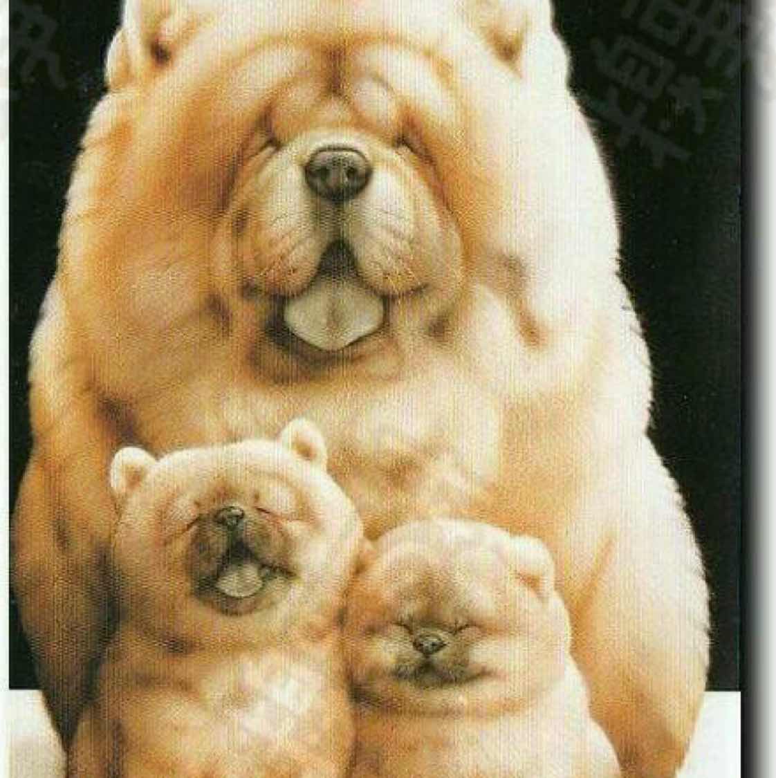 灰色