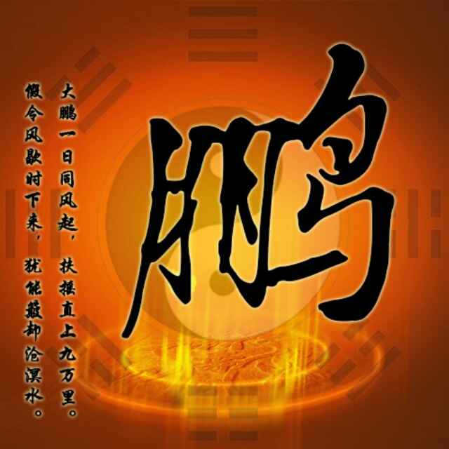 行走天地间
