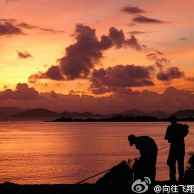 向往飞翔