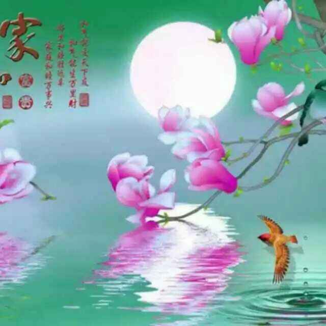 静心凡尘