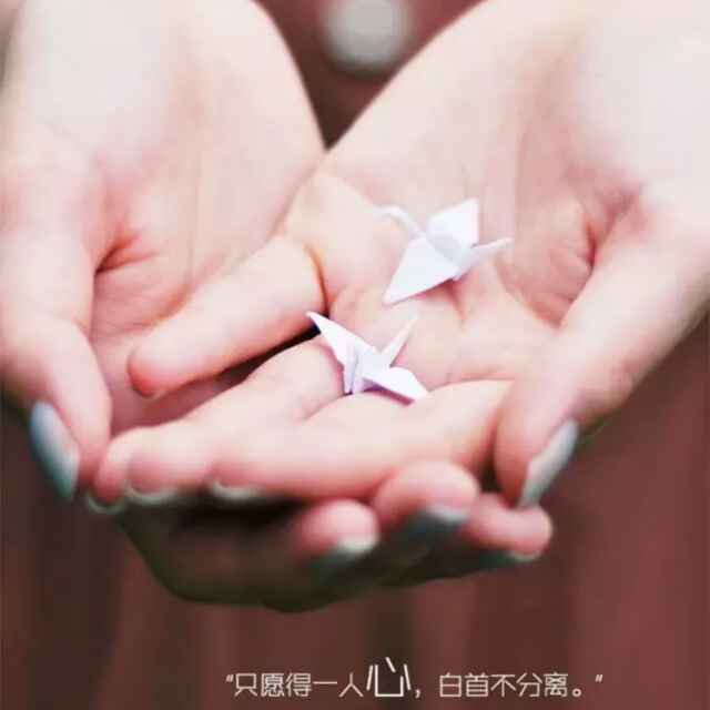 轩之恋