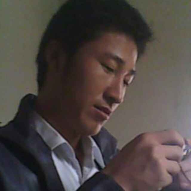 博～布谷鸟