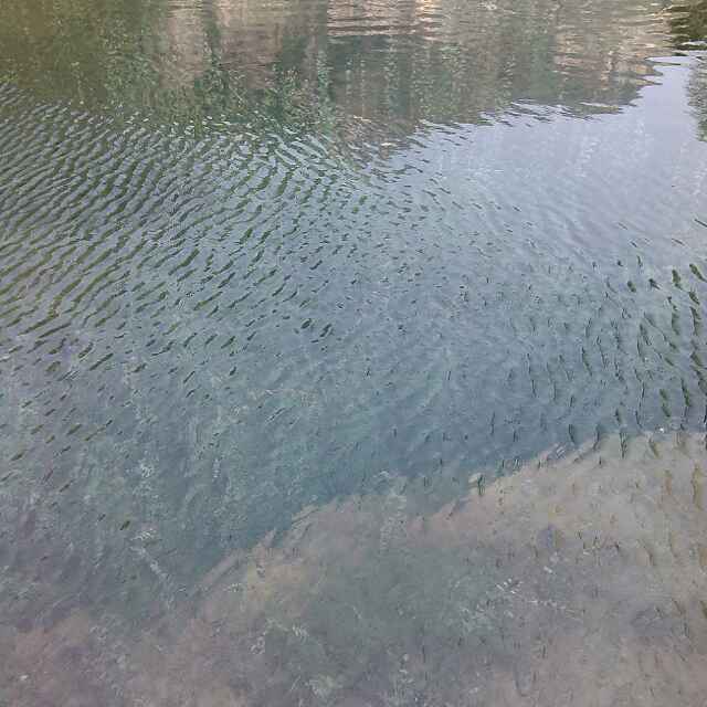 王利波