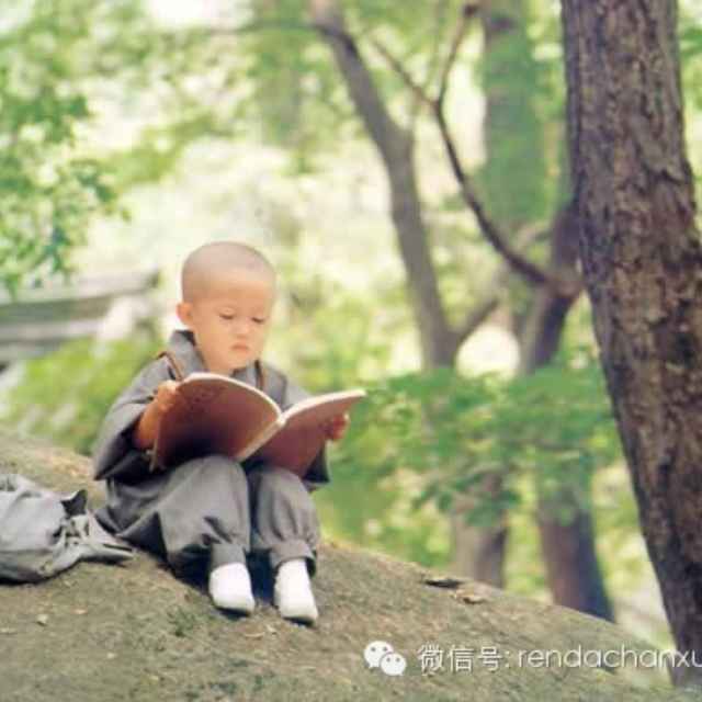假痴不癫