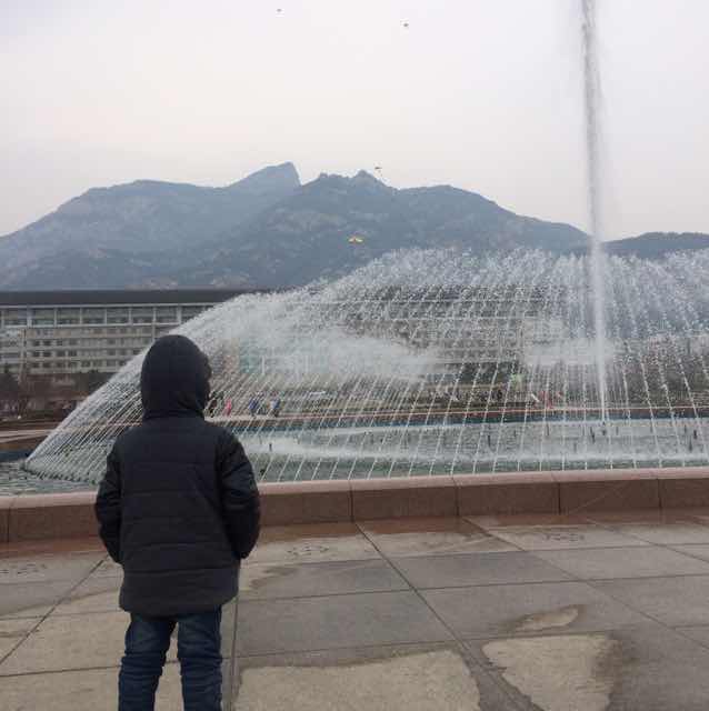 领域