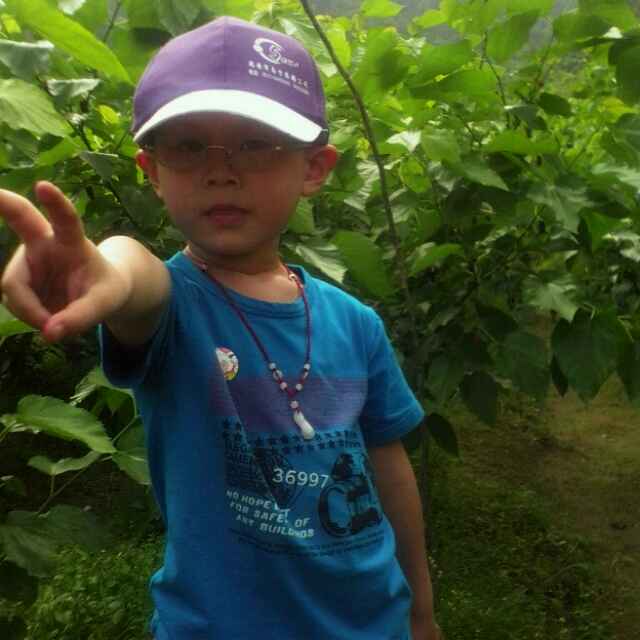 郑忠诚