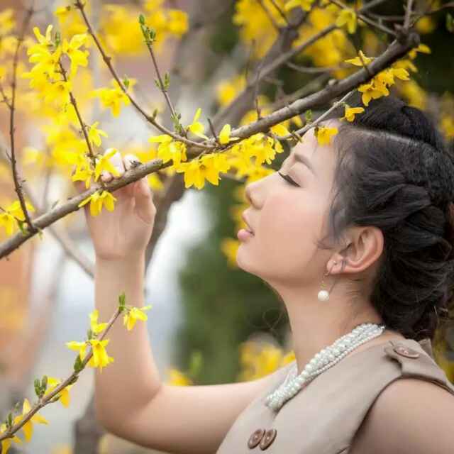 森普科贸国际木业销售-张晓燕