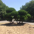 油画内框赵师傅（赵树英）