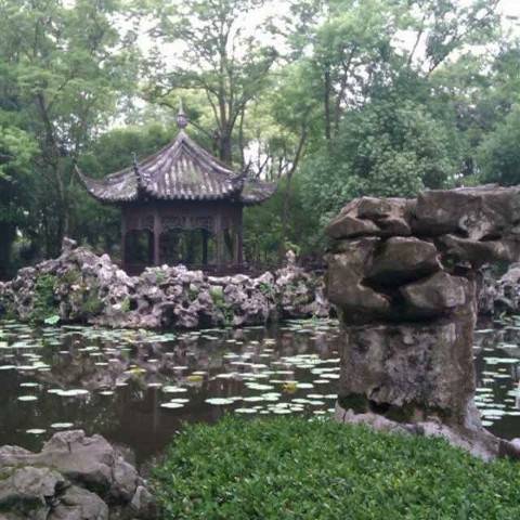 杨486