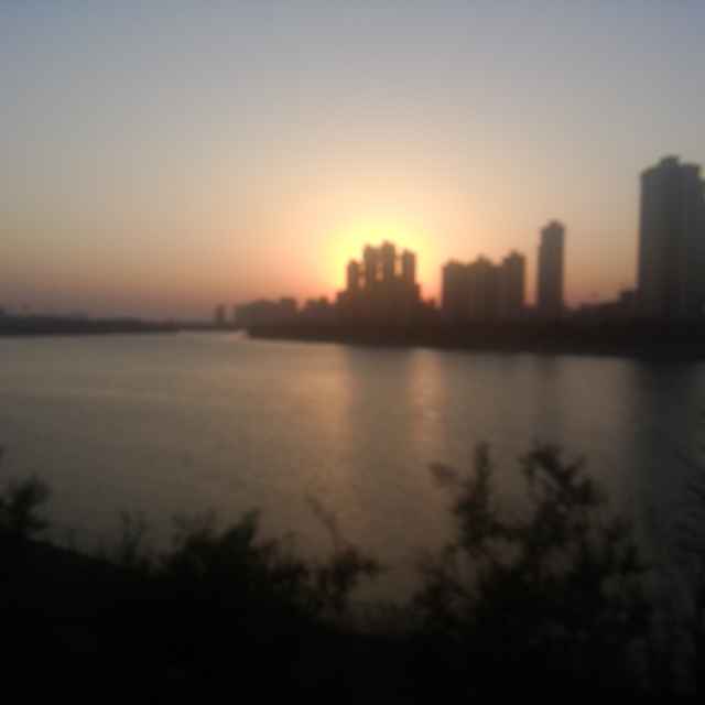鱼哥