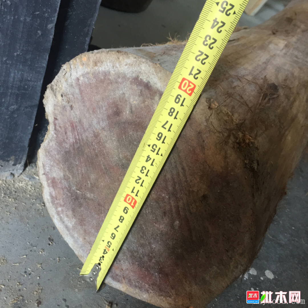 红豆杉老料 - 批木网
