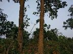 【工业保姆】
