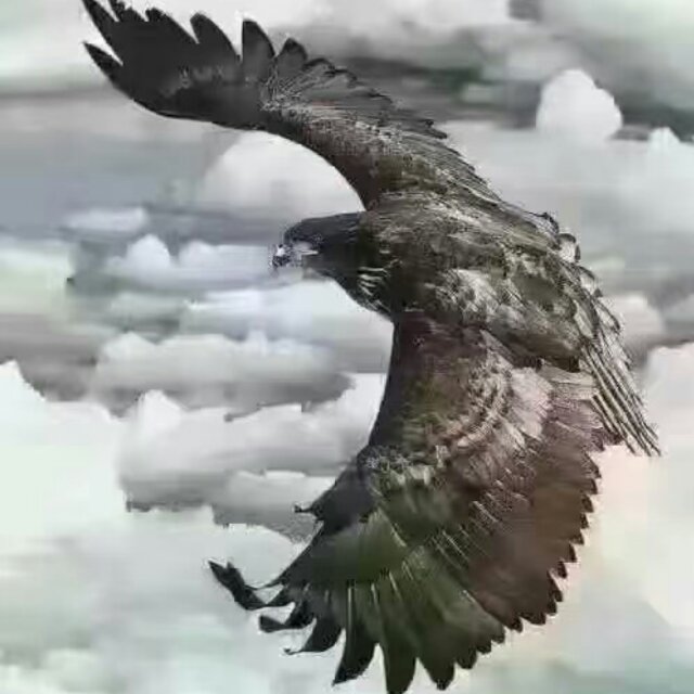yujiaju