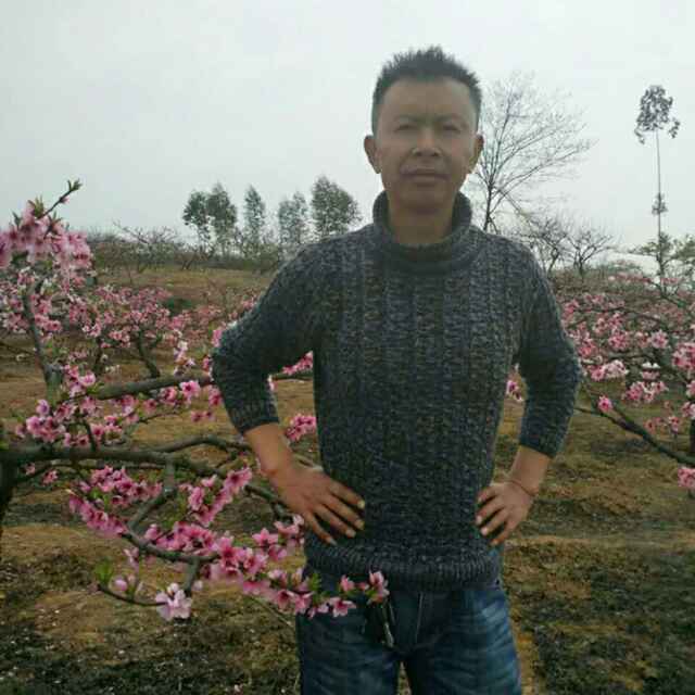 江湖