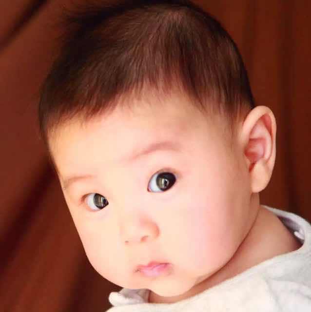 巴西木材佬