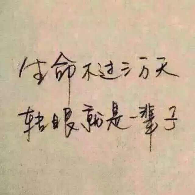 人生百态319