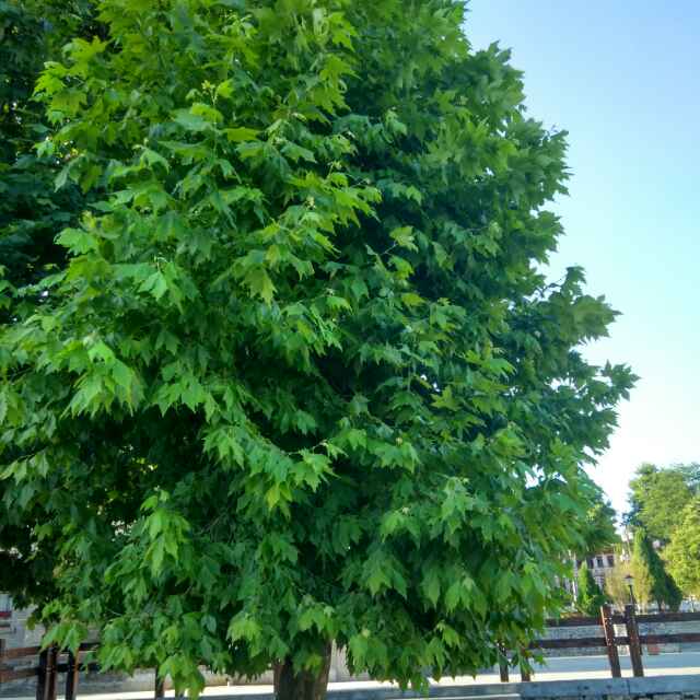 伟业263