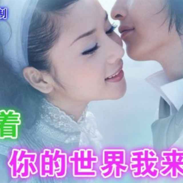 花落无声