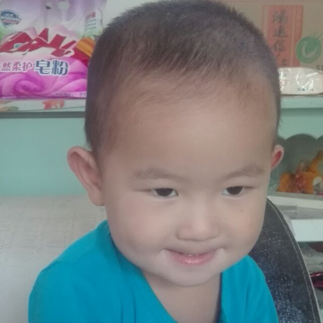 孤独冰心