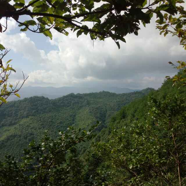 小志79