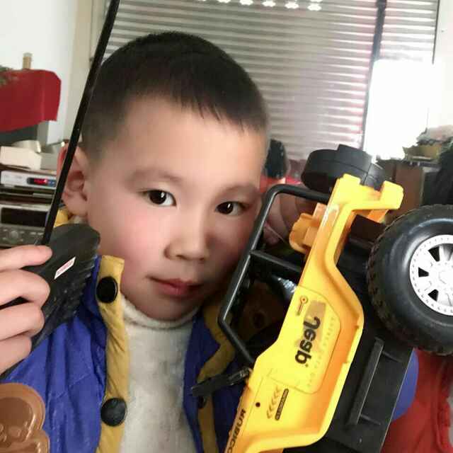 恒森林业