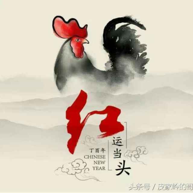老鹰291