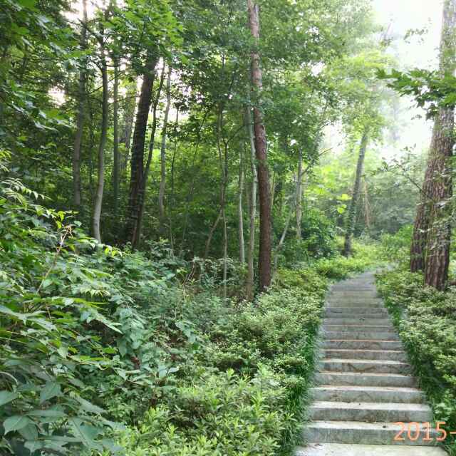 江华