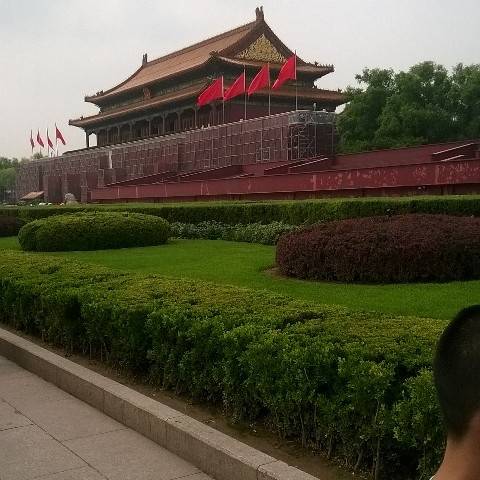 高青小于^O^收售各种建筑木材