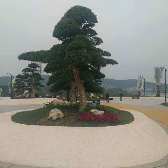 平安是福110879