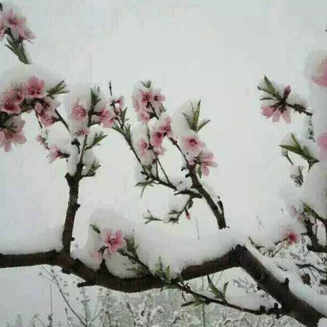 戴瑞广