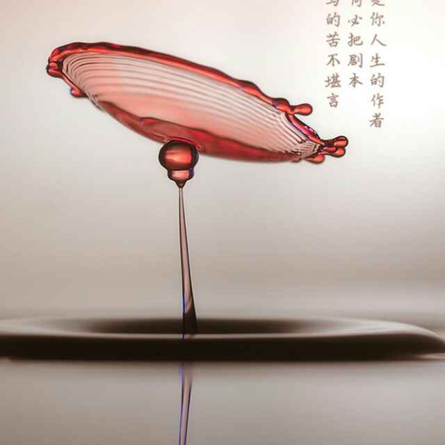 舍我其谁