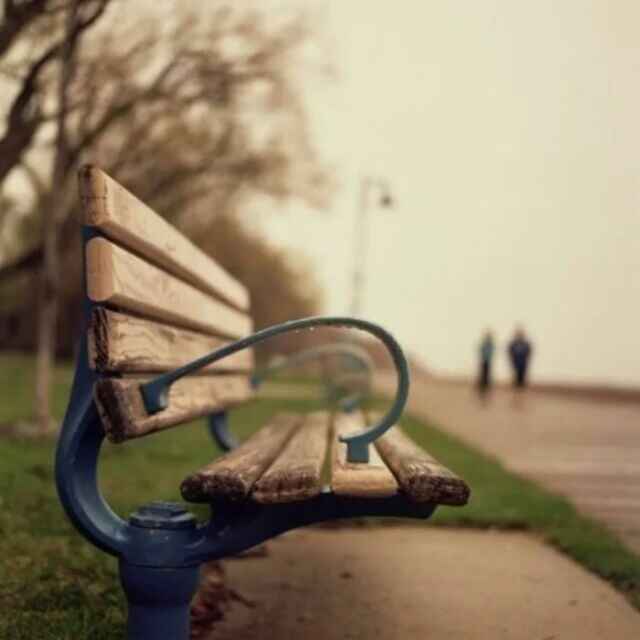我是笨蛋