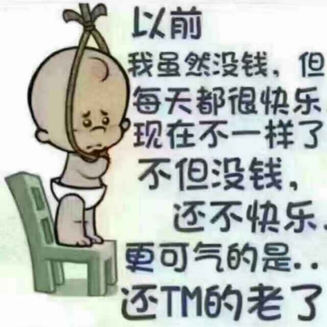 零点335