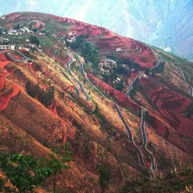 靠