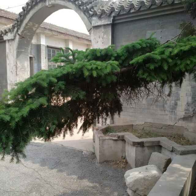 霍